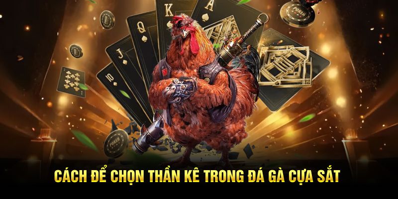 Cách để chọn thần kê trong đá gà cựa sắt