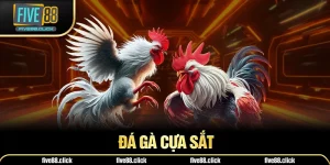Đá Gà Cựa Sắt