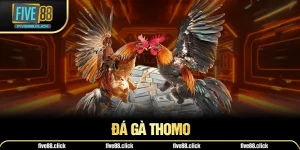 Đá Gà Thomo