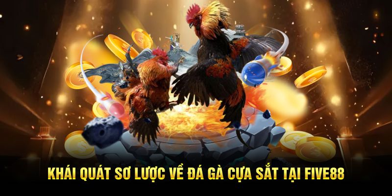 Khái quát sơ lược về đá gà cựa sắt tại Five88.