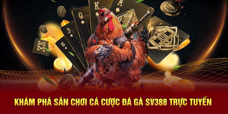 Khám phá sân chơi cá cược đá gà SV388 trực tuyến
