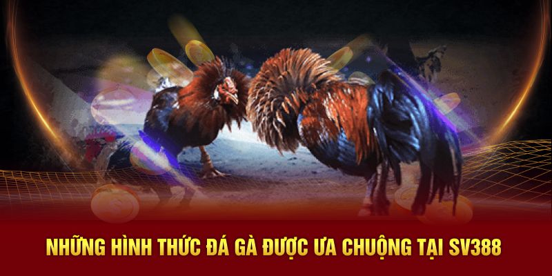 Những hình thức đá gà được ưa chuộng tại SV388