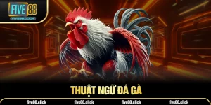 Thuật Ngữ Đá Gà