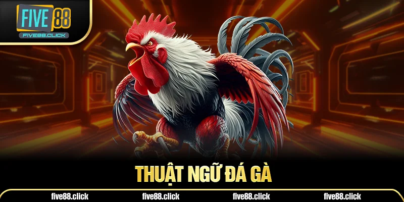 Thuật Ngữ Đá Gà
