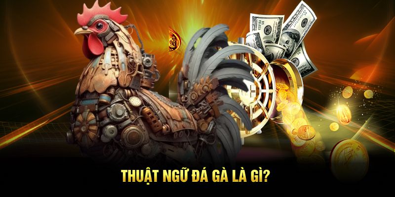 Thuật ngữ đá gà là gì?