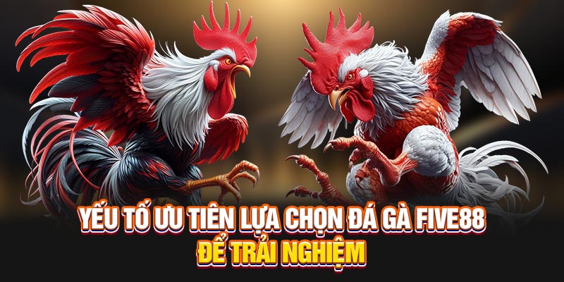 Yếu tố ưu tiên lựa chọn Đá gà FIVE8888 để trải nghiệm